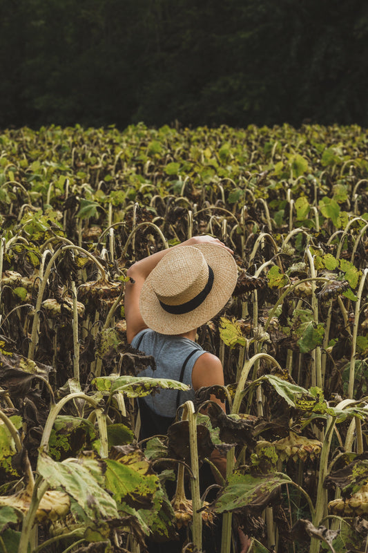 A photograph of a lovely Sunflower Hat - Pete's Fine Hats